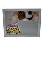 
              FUNKO POP! MOVIES GREMLINS: FLOCKED GIZMO #04 (LE 480) (2011 SDCC EXCLUSIVE CON STICKER)
            