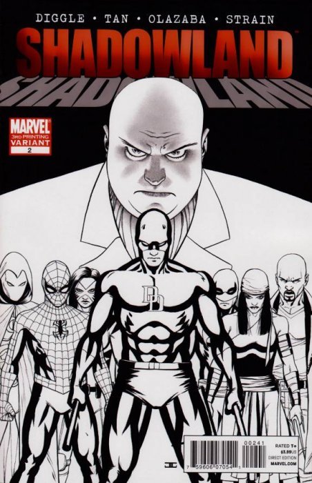 MARVEL COMICS SHADOWLAND ISSUE #2 (MINI-SERIES) (3RD PRINT VARIANT) (DEC 2010) (📌 CONDITION 8.5/9.0)